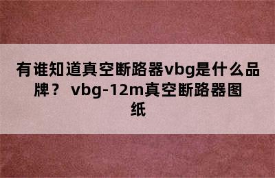 有谁知道真空断路器vbg是什么品牌？ vbg-12m真空断路器图纸